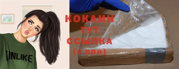 хмурый Вязьма